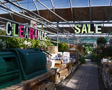 Clearance Sale